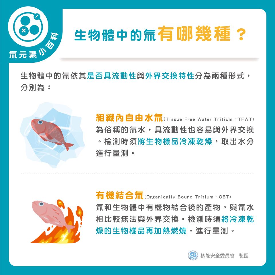 生物體中的氚依其是否具流動性與外界交換特性分為兩種形式，分別為：  組織內自由水氚(Tissue Free Water Tritium, TFWT)為俗稱的氚水，具流動性也容易與外界交換。檢測時須將生物樣品冷凍乾燥，取出水分進行量測。 有機結合氚(Organically Bound Tritium, OBT)為氚和生物體中有機物結合後的產物，與氚水相比較無法與外界交換。檢測時須將冷凍乾燥的生物樣品再加熱燃燒，進行量測。圖片
